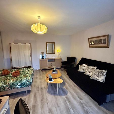 Charmant Studio De 50 M2 Шомон Екстер'єр фото